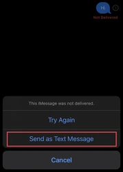 IMessage not delivered and sent as a text message