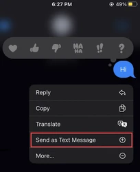 Send as text message selected in messages on iphone