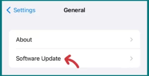 Update iOS Software in settings 