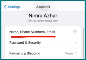 Name, Phone Nubers and Email setting in Apple ID 