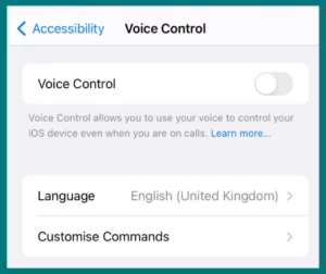 Voice control disabled from accessibility settings