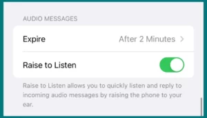 Audio messages settings on iPhone