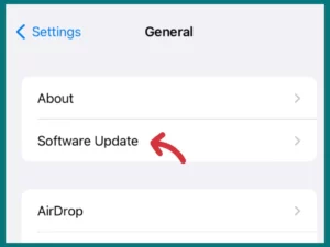 Update software on iPhone