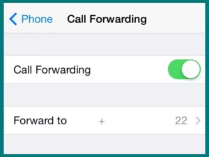 Call Forwarding enabled from phone settings on iPhone