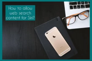 how to allow web search content for siri