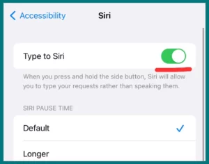 "Type to Siri" option enabled from Siri settings