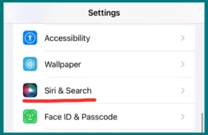 Siri and Search Settings