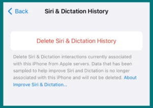 How to Remove Siri History