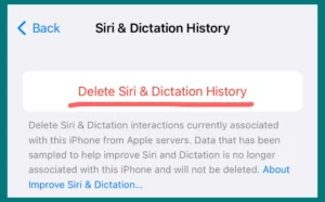 Delete Siri & Dictation History to remove the Siri cache.