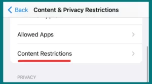Content Restrictions Settings in screen time settings