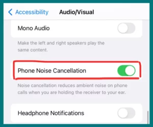 Phone Noise Cancellation enabled from Accessibility Settings on iPhone