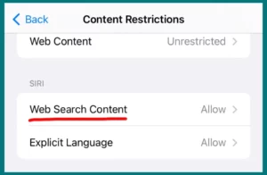 "Web search content" option in the content restrictions settings