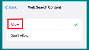 "Web search content" Set to Allow