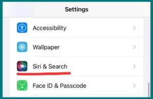 Siri and Search option in settings