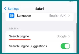 Default Search engine settings on iPhone