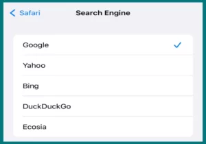 Google selected as default search engine on iPhone